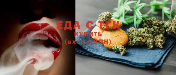 индика Балабаново