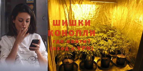 индика Балабаново