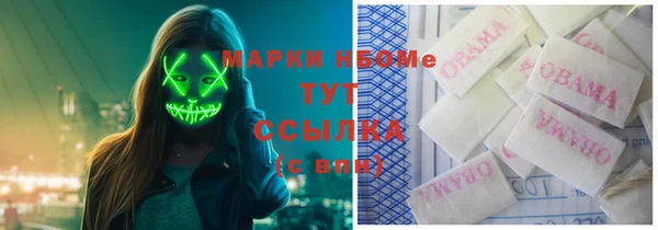 индика Балабаново