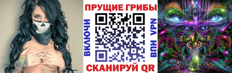 Галлюциногенные грибы Psilocybine cubensis Губаха